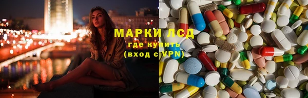 индика Алексин