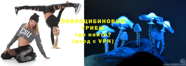 индика Алексин