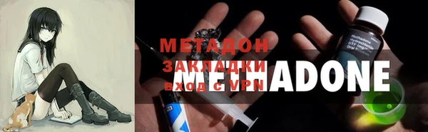 индика Алексин