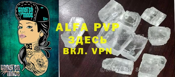 индика Алексин