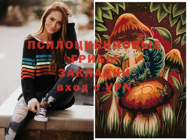 индика Алексин